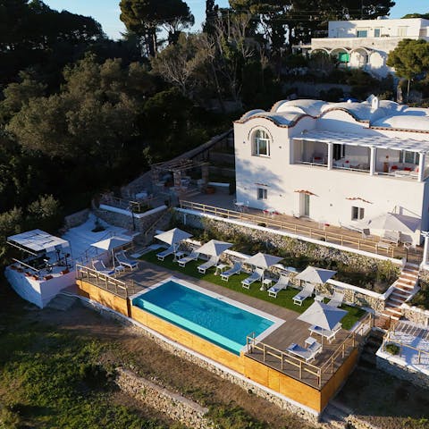 Lounge beside the private infinity pool amid carob and olive trees
