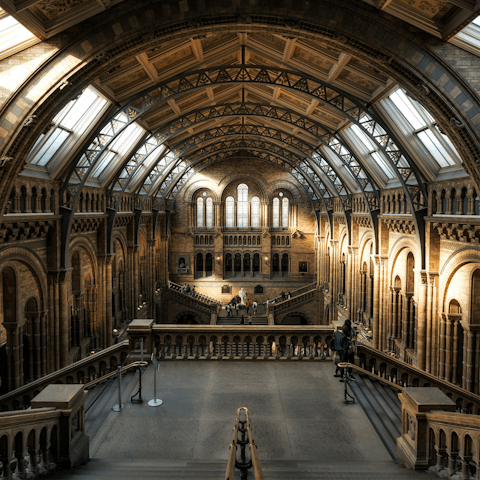 Stroll ten minutes north to the stunning Natural History Museum