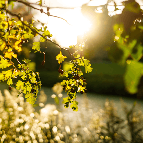 Enjoy a refreshing countryside retreat just outside the town of Framlingham