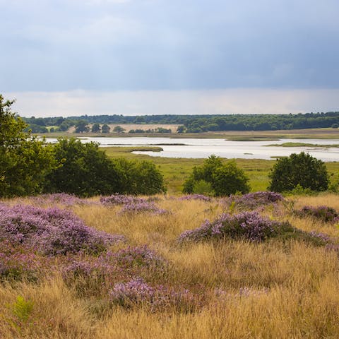 Explore the Suffolk Coast & Heaths AONB, about half an hour away by car