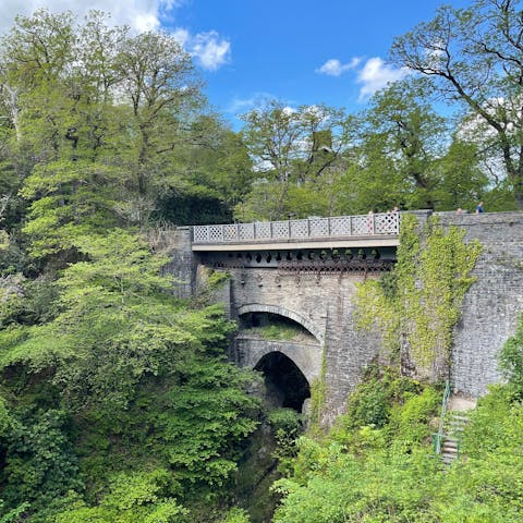 Take photos at the gorgeous Devil's Bridge