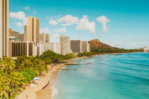 Swim or surf Waikiki Beach's warm Pacific waters, a seventeen-minute drive
