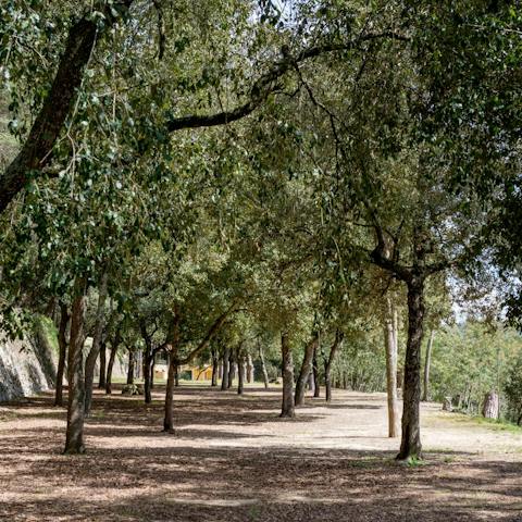 Experience the peace and tranquillity of the Catalonian countryside