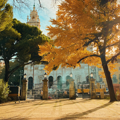 Enjoy a leisurely stroll through the leafy Jardim da Estrela