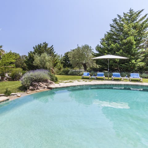 Enjoy the sunny island weather by the uniquely-curved pool