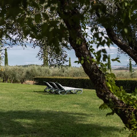 Explore the lawns and tune into tranquillity