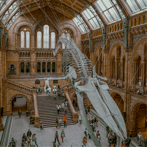 Visit the National History Museum, less than two minutes from your door