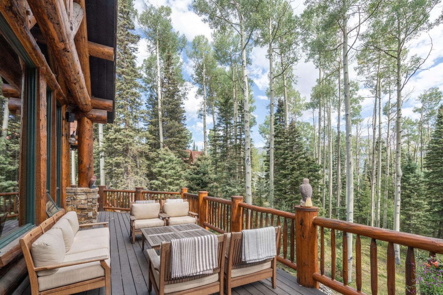 Among the Aspens