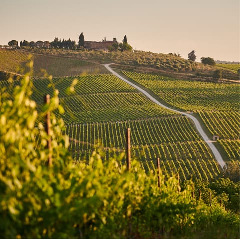 Stay in the rural Tuscan town of Monte San Savino
