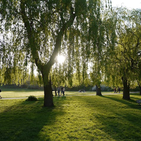 Take the ten-minute drive to Hampstead Heath on a sunny day