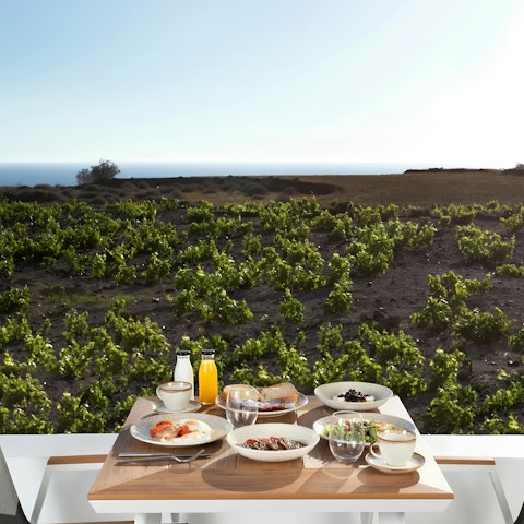 Enjoy the breakfast provided while admiring the views of the vineyards
