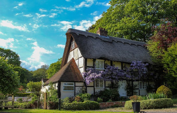 Wisteria House