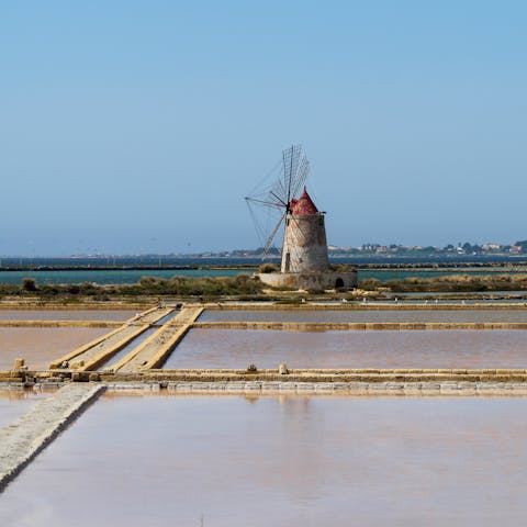 Drive fifty-six minutes to Saline of the Laguna Marsala – a wonderful nature reserve