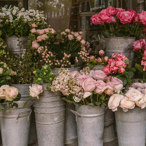 Pick up some blooms from the flower market on Passeig de la Rambla, a mere five-minute wander from this home