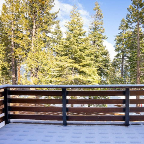 Admire the beautiful views over the evergreen trees