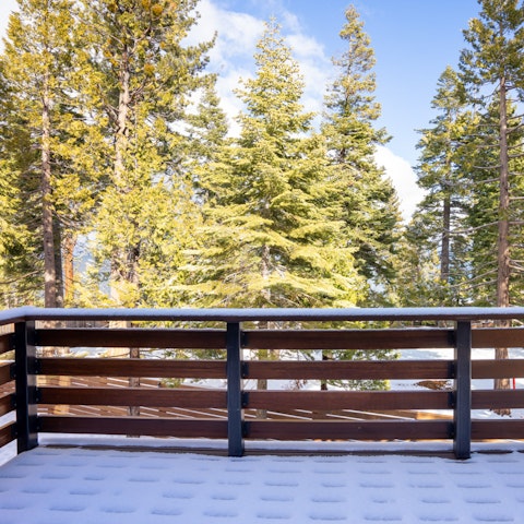 Admire the beautiful views over the evergreen trees