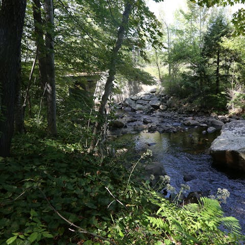 Wahconah Falls State Park is just up the road