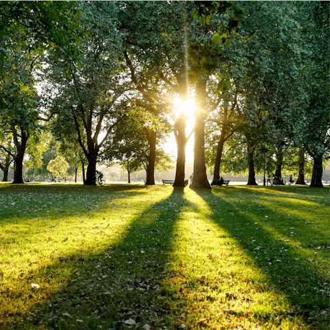 Hop on the tube at Earl's Court and head to Hyde Park for a walk