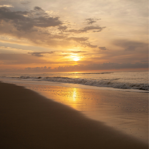Stay a short stroll from the beach on the Isle of Palms