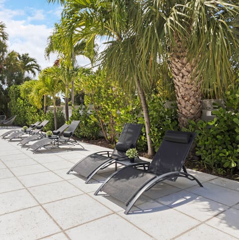 Relax on a sun lounger surrounded by palms