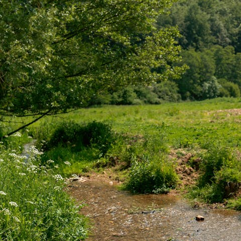Discover riverside paths and nearby Quantock hill trails