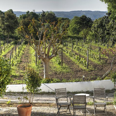 Pick fresh fruits and vegetables from the garden to enjoy throughout the day