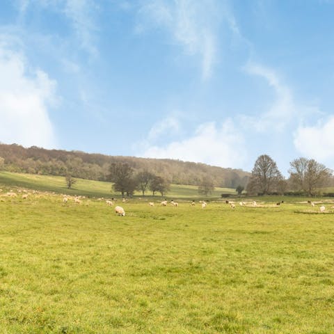 Enjoy the feeling of fresh air and long walks with beautiful views