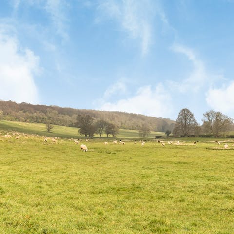 Enjoy the feeling of fresh air and long walks with beautiful views