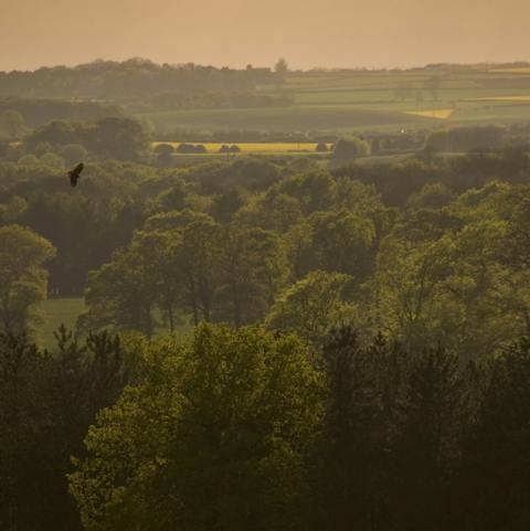 Stay on a sprawling estate in the heart of Sherwood Forest