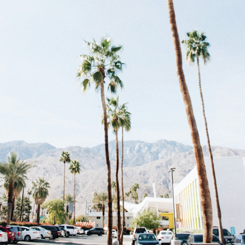 Fall in love with the mid-century magic of Palm Springs