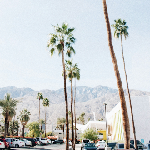 Fall in love with the mid-century magic of Palm Springs