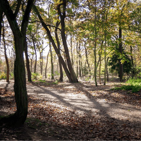 Take long, meandering strolls through Bois de Boulogne, a thirteen-minute walk away