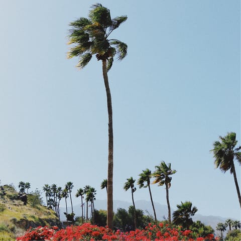 Check out the restaurants and shops of Downtown Palm Springs, a five-minute drive away