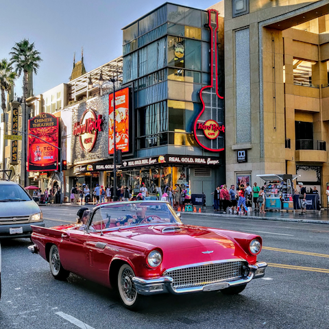 Explore the famous Hollywood Boulevard, a short drive away