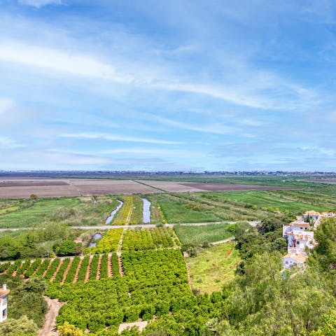 Admire the views of the stunning local landscape