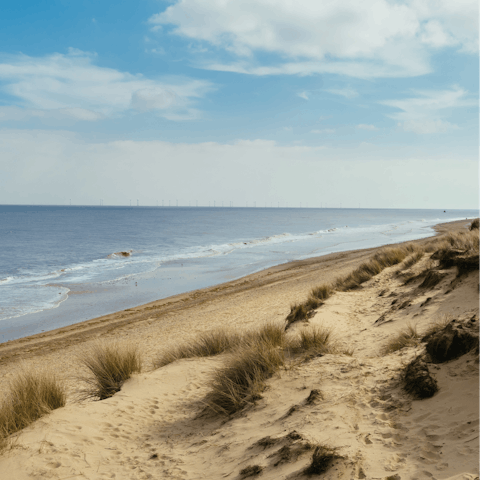 Explore the coast, including nearby Cley beach