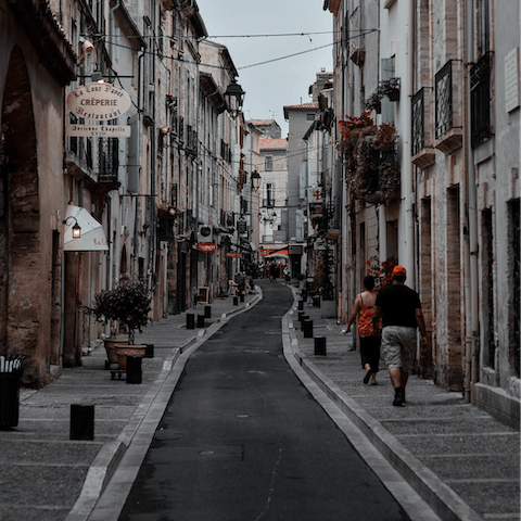 Visit the picturesque market town of Pézenas, only 8km away from here