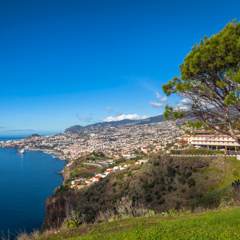 Explore the heart of vibrant Funchal, right on your doorstep