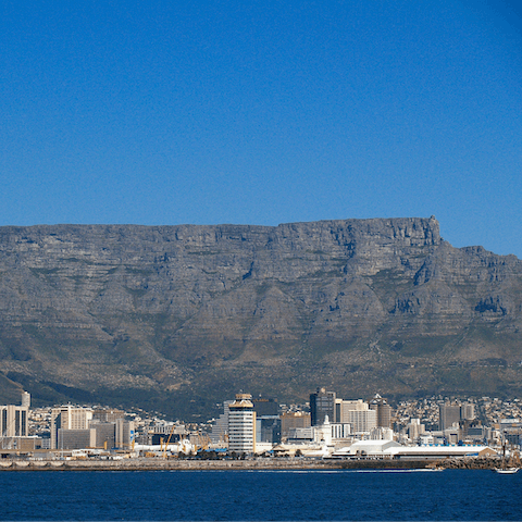 Hike or jump on a cable car to see the beauty of Table Mountain
