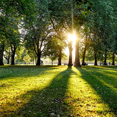 Enjoy a refreshing stroll around Hyde Park, ten minutes away