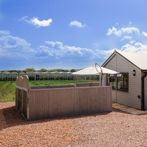 Wander the asparagus fields that surround the home