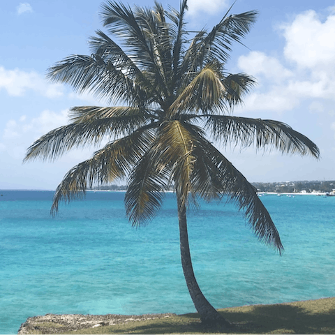 Explore the beautiful island from this convenient location on the west coast