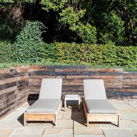 Find a sunny spot in the garden on a summer's day