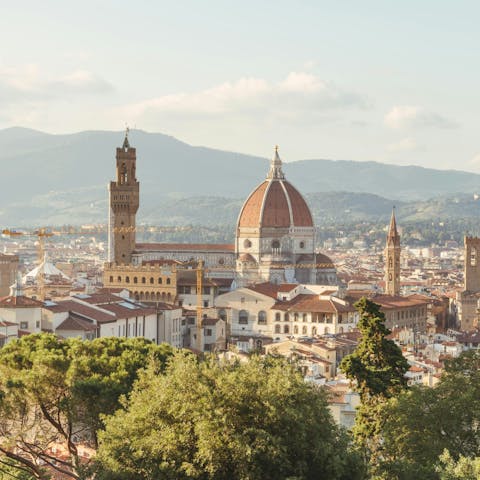Spend the day in Florence, an hour or so by car