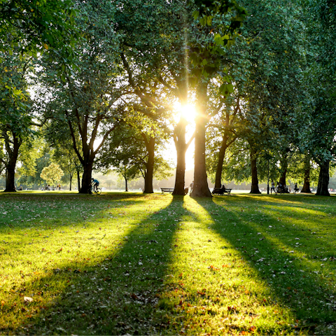 Begin your day with a refreshing walk through Hyde Park