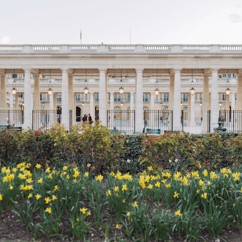 Marvel at the beautiful architecture of the Palais Royal