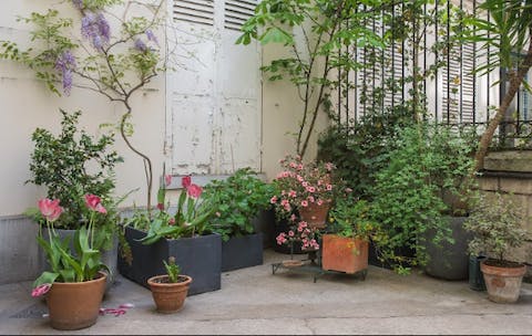 Take in the fresh air among the gorgeous flowers in the front courtyard