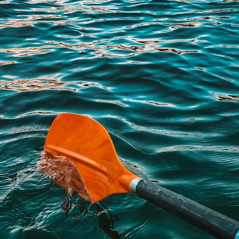 Take the kids paddle-boarding for the afternoon