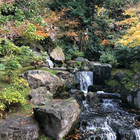 Escape the crowds in nearby Holland Park – it's just a few minutes away