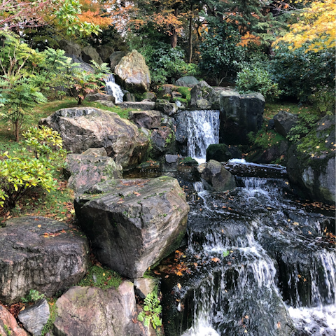 Stroll through Holland Park or explore the Design Museum – they're a few steps away